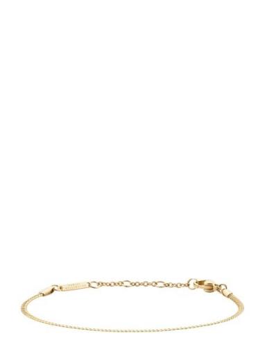 Elan Flat Chain Bracelet G Rannekoru Korut Gold Daniel Wellington