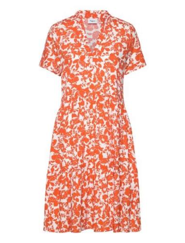 Edasz Ss Dress Polvipituinen Mekko Orange Saint Tropez