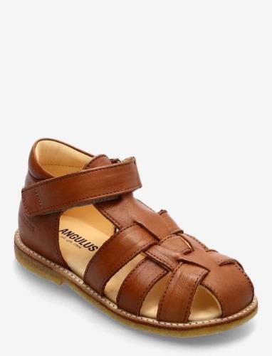 Sandals - Flat - Closed Toe - Shoes Summer Shoes Sandals ANGULUS