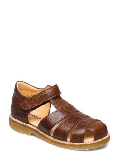 Sandals - Flat - Closed Toe - Shoes Summer Shoes Sandals Brown ANGULUS