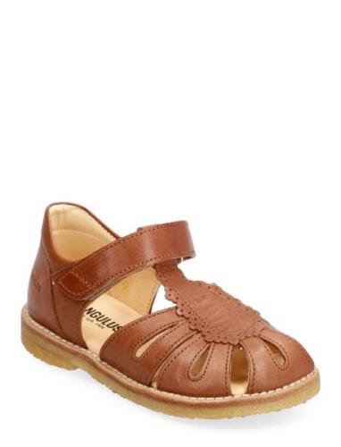 Sandals - Flat - Closed Toe - Shoes Summer Shoes Sandals ANGULUS