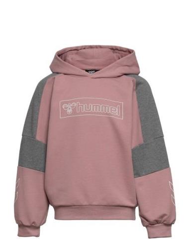 Hmlboxline Hoodie Sport Sweat-shirts & Hoodies Hoodies Hummel