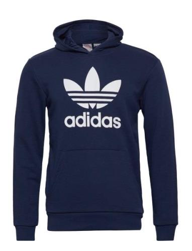 Trefoil Hoodie Sport Sweat-shirts & Hoodies Hoodies Blue Adidas Origin...