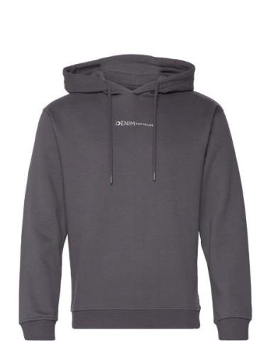 Hoody With Print Tops Sweat-shirts & Hoodies Hoodies Grey Tom Tailor