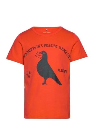 Pigeons Sp Ss Tee Tops T-shirts Short-sleeved Orange Mini Rodini