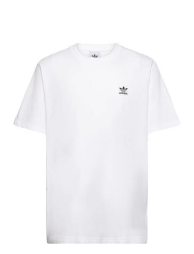 B+F Trefoil Tee Sport T-shirts Short-sleeved White Adidas Originals