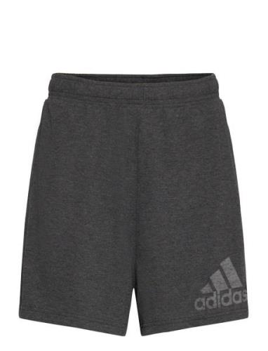 W Winrs Short Sport Shorts Sport Shorts Grey Adidas Sportswear