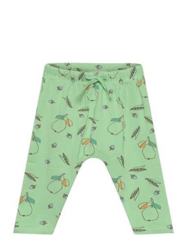 Sghailey Pear Pants Bottoms Leggings Green Soft Gallery