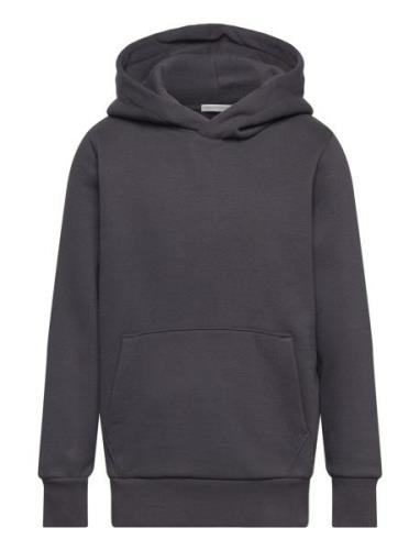 Printed Hoody Tops Sweat-shirts & Hoodies Hoodies Grey Tom Tailor