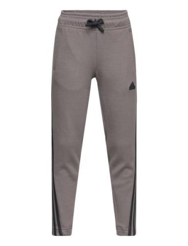 U Fi 3S Pt Sport Sweatpants Brown Adidas Performance