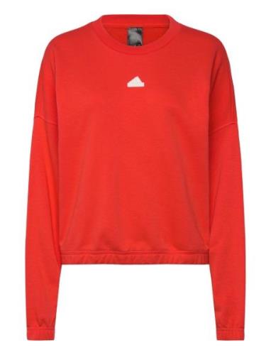 Dance Swt Sport Sweat-shirts & Hoodies Sweat-shirts Red Adidas Sportsw...