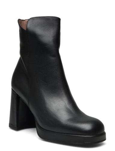 Santo Shoes Boots Ankle Boots Ankle Boots With Heel Black Wonders