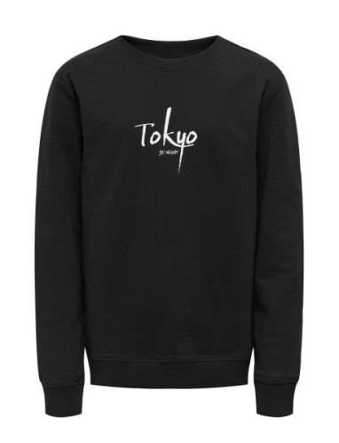 Kobtheo L/S O-Neck Box Swt Tops Sweat-shirts & Hoodies Sweat-shirts Bl...