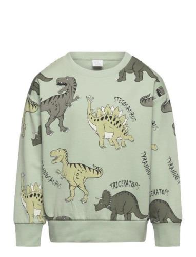 Sweater Aop Dino Tops Sweat-shirts & Hoodies Sweat-shirts Green Lindex