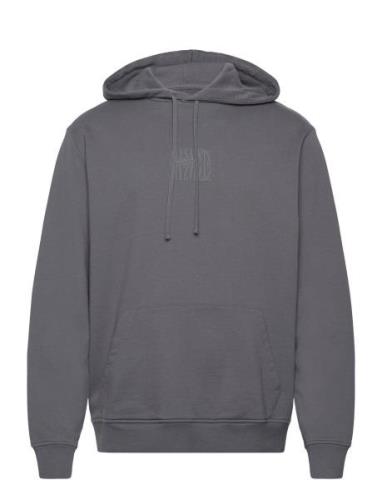 Varden Oth Hoody Tops Sweat-shirts & Hoodies Hoodies Grey AllSaints