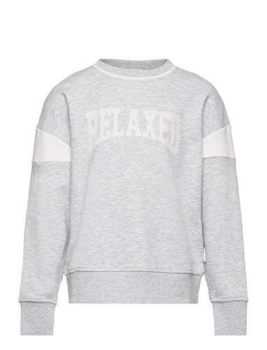 Over Printed Sweatshirt Tops Sweat-shirts & Hoodies Sweat-shirts Grey ...