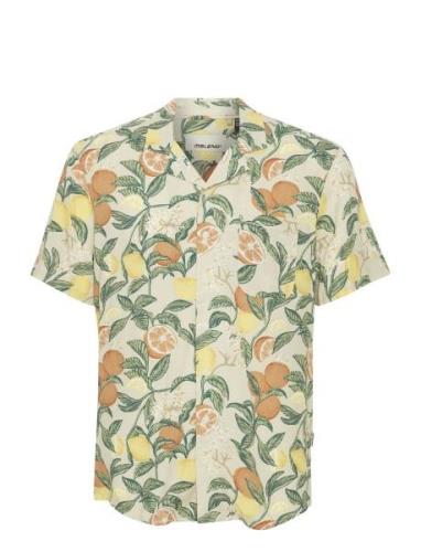 Shirt Tops Shirts Short-sleeved Cream Blend