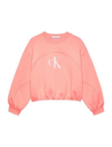 Iridescent Ck Logo Cn Sweatshirt Tops Sweat-shirts & Hoodies Sweat-shi...