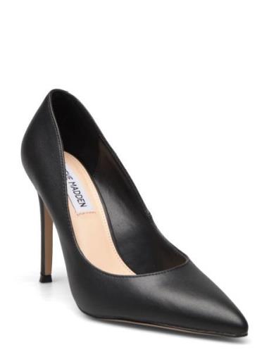 Evelyn-E Shoes Heels Pumps Classic Black Steve Madden