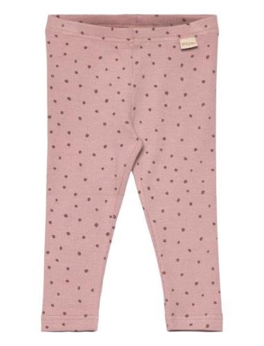 Legging Modal Dot Bottoms Leggings Pink Petit Piao