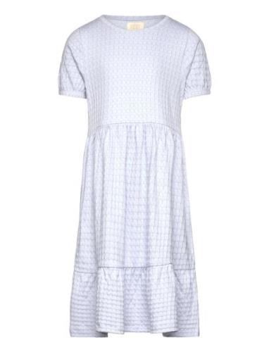 Dress Ss Structure Dresses & Skirts Dresses Casual Dresses Short-sleev...