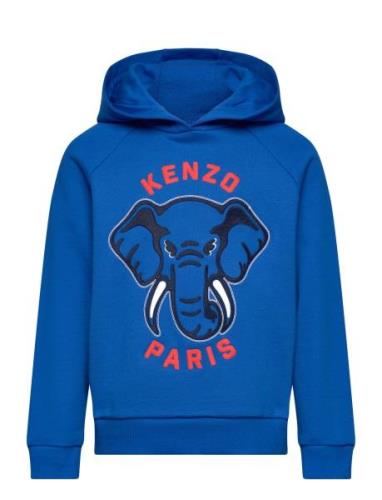 Hooded Sweatshirt Tops Sweat-shirts & Hoodies Hoodies Blue Kenzo