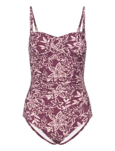 Bologna Swimsuit Uimapuku Uima-asut Purple Missya