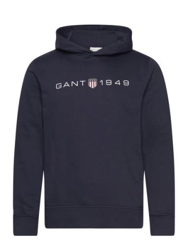 Printed Graphic Hoodie Tops Sweat-shirts & Hoodies Hoodies Blue GANT