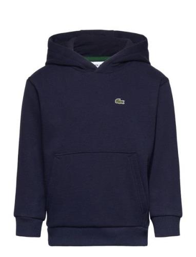 Sweatshirts Sport Sweat-shirts & Hoodies Hoodies Navy Lacoste