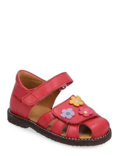 Sandals - Flat - Closed Toe - Shoes Summer Shoes Sandals Red ANGULUS