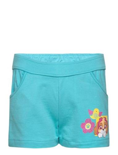 Pant Bottoms Shorts Blue Paw Patrol