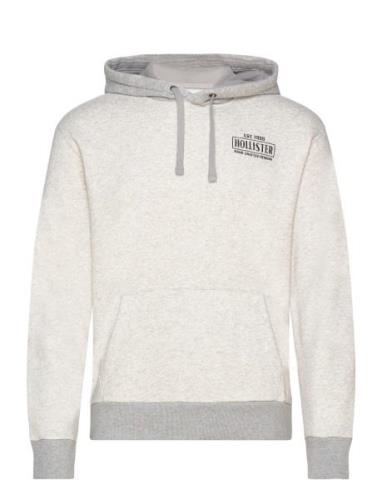 Hco. Guys Sweatshirts Tops Sweat-shirts & Hoodies Hoodies Grey Hollist...