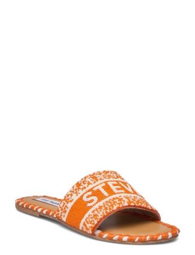 Verah Sandal Matalapohjaiset Sandaalit Orange Steve Madden