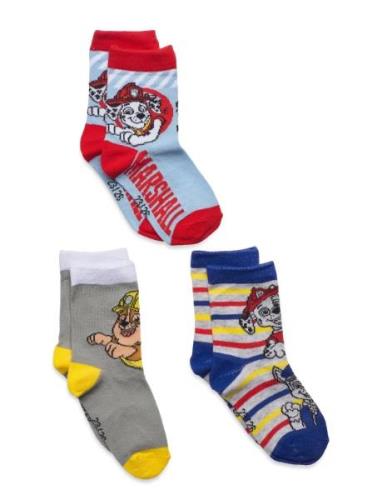 Socks Sukat Multi/patterned Paw Patrol