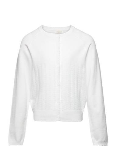 Cardigan Pointelle Tops Knitwear Cardigans White Creamie