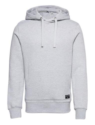 Centre Hoodie Sport Sweat-shirts & Hoodies Hoodies Grey Björn Borg