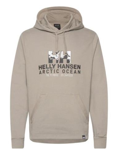 Arctic Ocean Hoodie Tops Sweat-shirts & Hoodies Hoodies Beige Helly Ha...