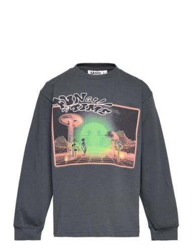 Rube Tops Sweat-shirts & Hoodies Sweat-shirts Grey Molo