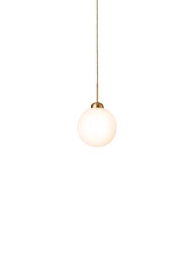 Apiales 1 Large Home Lighting Lamps Ceiling Lamps Pendant Lamps Gold N...