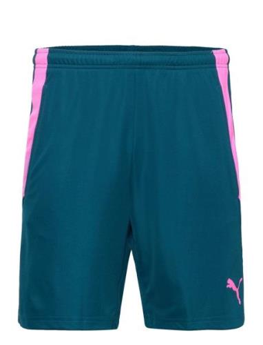 Teamliga Training Shorts 2 Sport Shorts Sport Shorts Blue PUMA