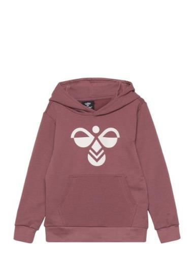 Hmlcuatro Hoodie Sport Sweat-shirts & Hoodies Hoodies Burgundy Hummel