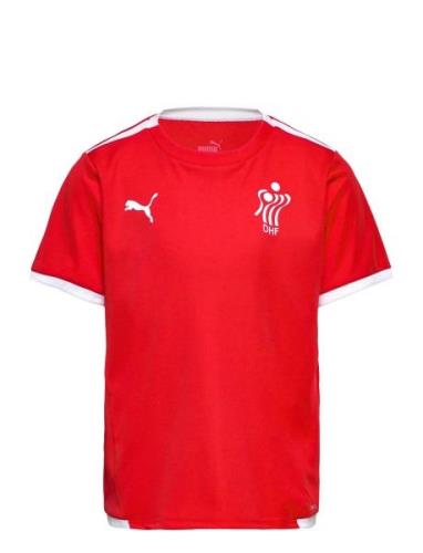 Teamliga Jersey Jr Sport T-shirts Short-sleeved Red PUMA