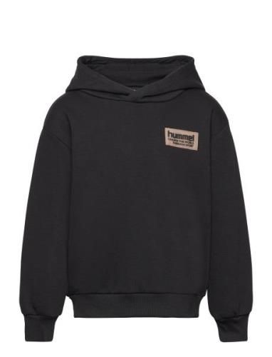 Hmldare Hoodie Sport Sweat-shirts & Hoodies Hoodies Black Hummel