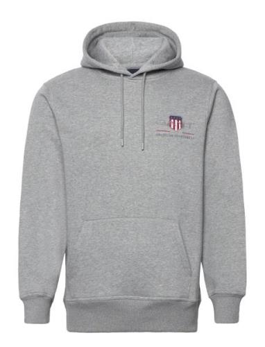 Reg Medium Archive Shield Hoodie Tops Sweat-shirts & Hoodies Hoodies G...