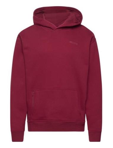 Hco. Guys Sweatshirts Tops Sweat-shirts & Hoodies Hoodies Burgundy Hol...