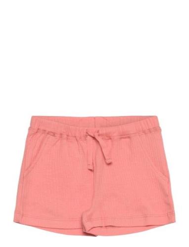 Rib Jersey Shorts Bottoms Shorts  Copenhagen Colors