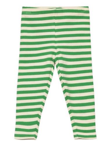 Tnsfinn Rib Leggings Bottoms Leggings Green The New