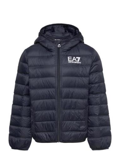 Down Jacket Toppatakki Navy EA7