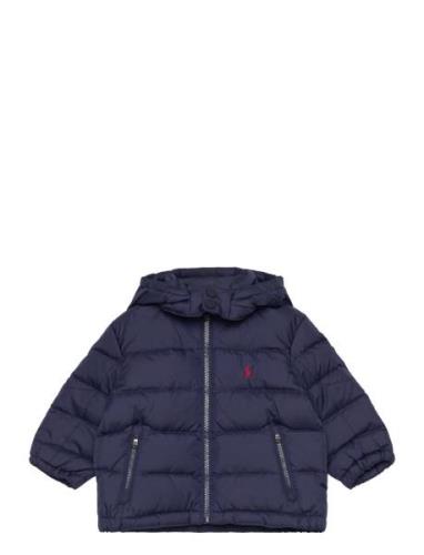 Ripstop Hooded Down Jacket Toppatakki Navy Ralph Lauren Baby