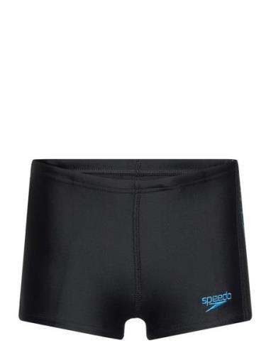 Allover Panel Aquashort Jm Uimashortsit Black Speedo